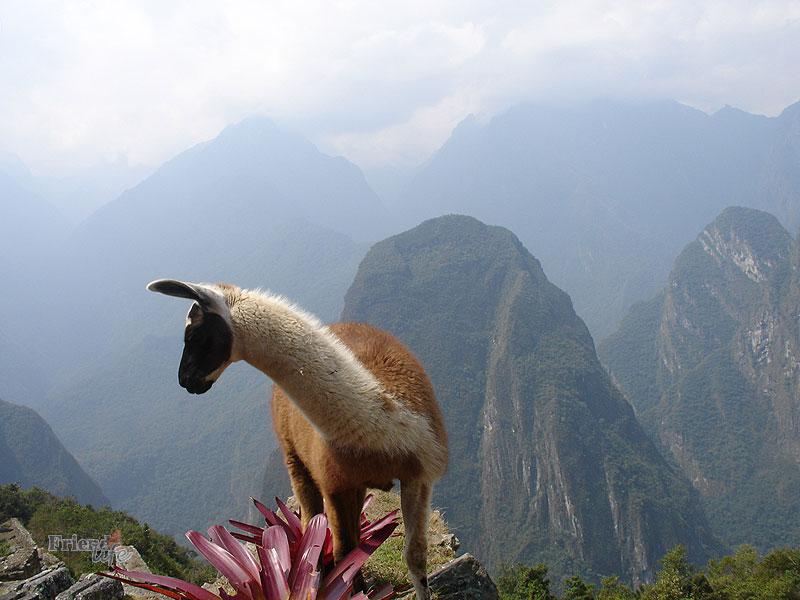 Cartagena tour photos